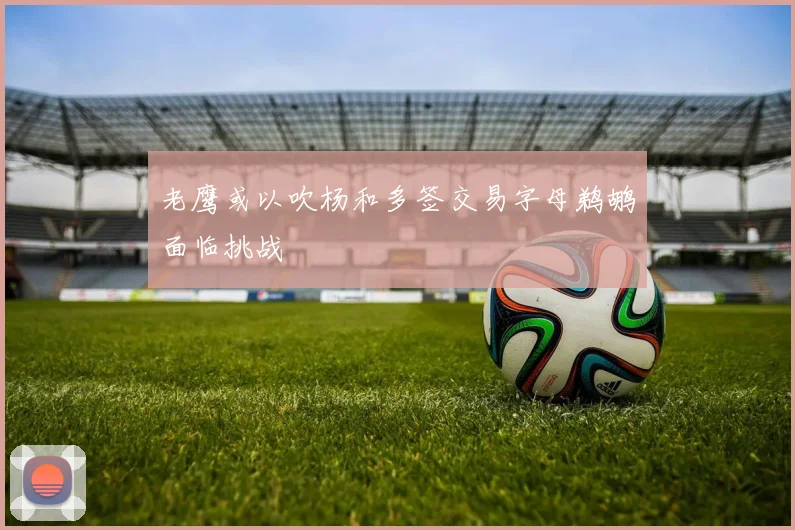 老鹰或以吹杨和多签交易字母鹈鹕面临挑战